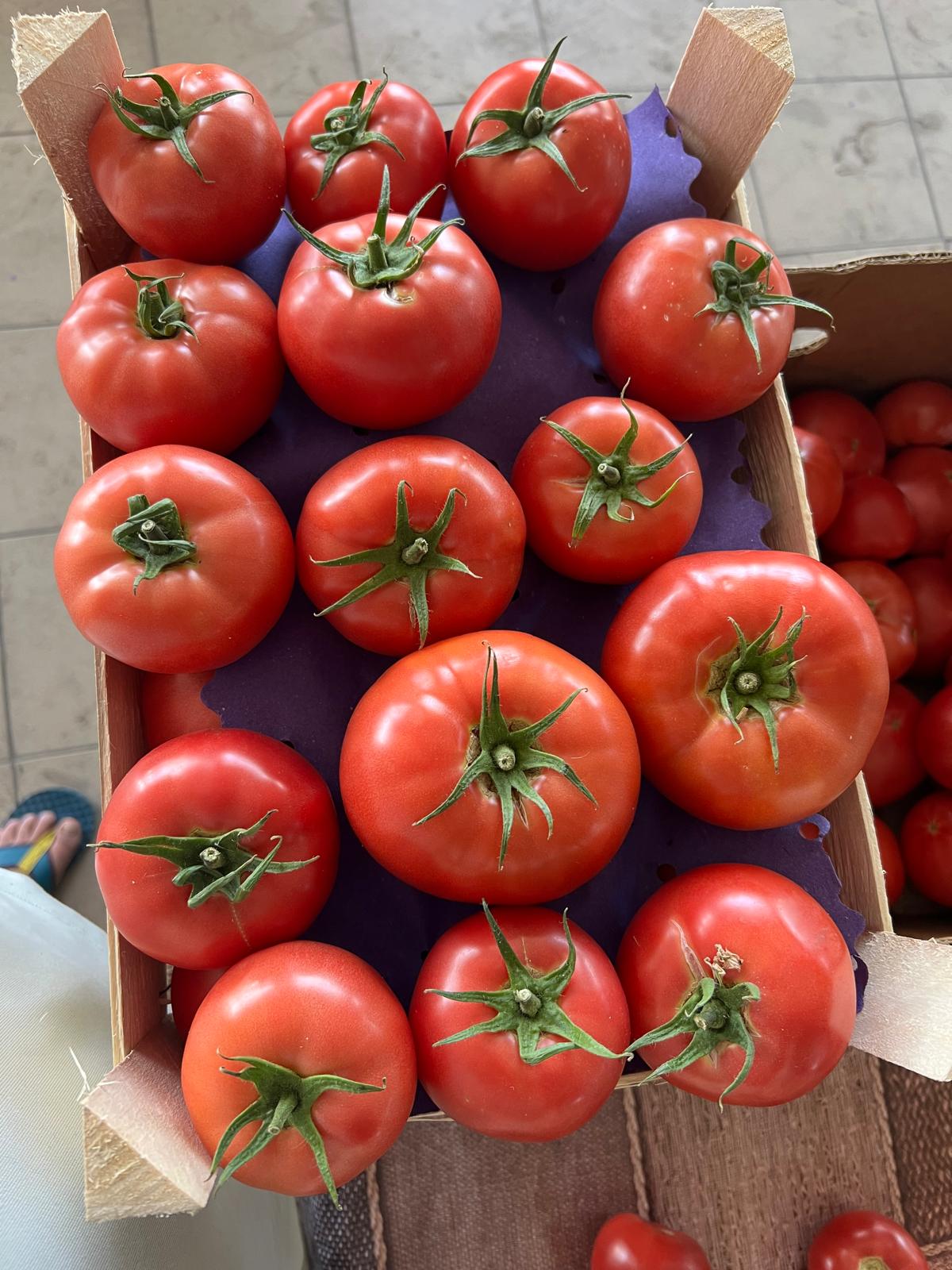 Romanian Tomatoes